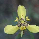 Costa Rica20150404-1908-1007